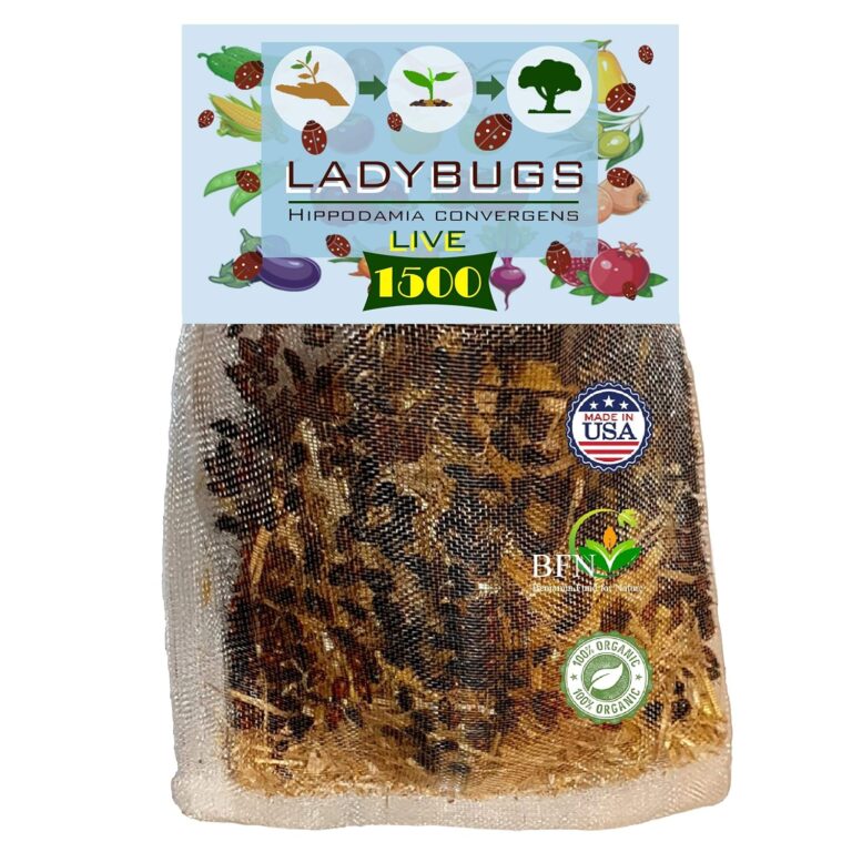 Clark&Co Organic 1500 Live Ladybugs – Good Bugs for Garden Pest Control – Guaranteed Live Delivery!