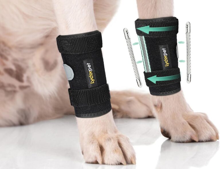 Dog Leg Brace Front Wrist & Carpal Support with Metal Splints | Prevents Injuries & Aids Arthritis Stability